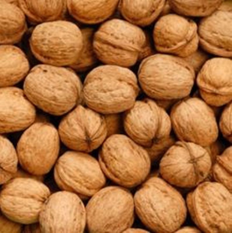 WALNUTS USDA FOODS 16 ONZAS NUECES CON CASCARA ORGANICA