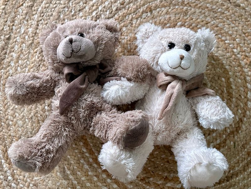 Medium Gift Bear