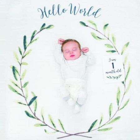 Lulujo Baby’s First Year – “Hello World”