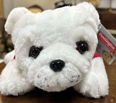 Georgia Bulldog Plush Mascot- 10″ UGA dog