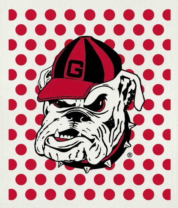 Wet-It Swedish Cloth , Pattern: UGA-Bulldog