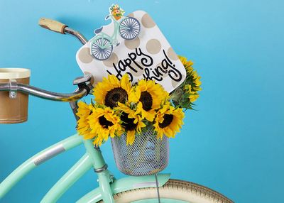 Mini Bicycle Attachment