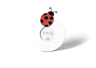 Mini Ladybug Attachment