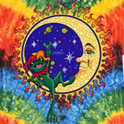 Cosmic Frog Short Sleeve T-Shirt
