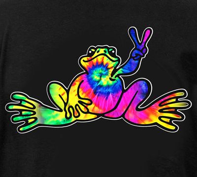 Neon Tie-Dye Fill Frog T-Shirt