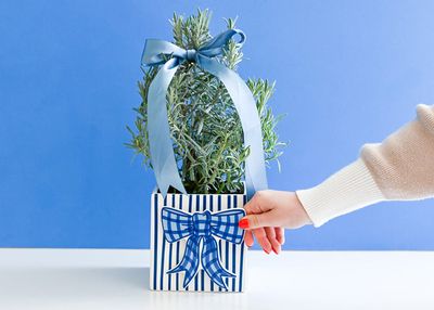 Blue Gingham Bow Mini Attachment