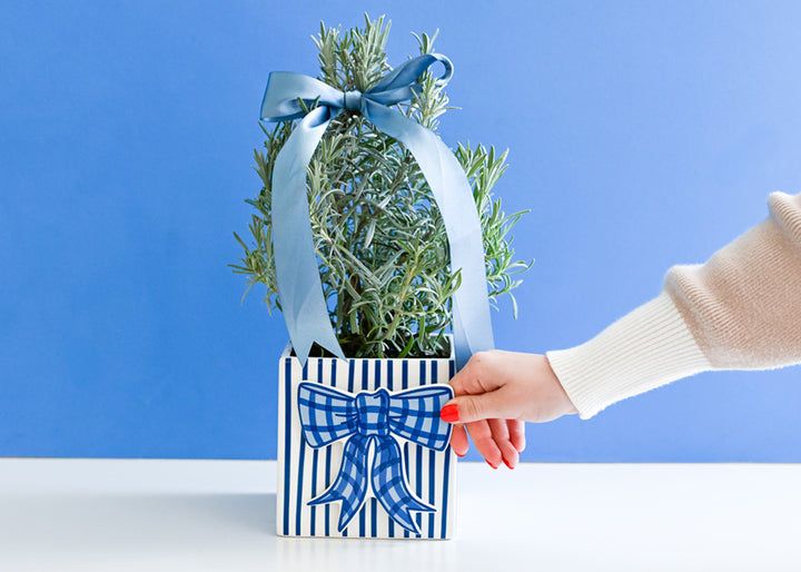 Blue Gingham Bow Mini Attachment