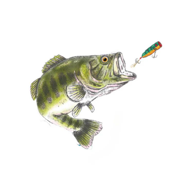 Jumping Bass Cotton Hat