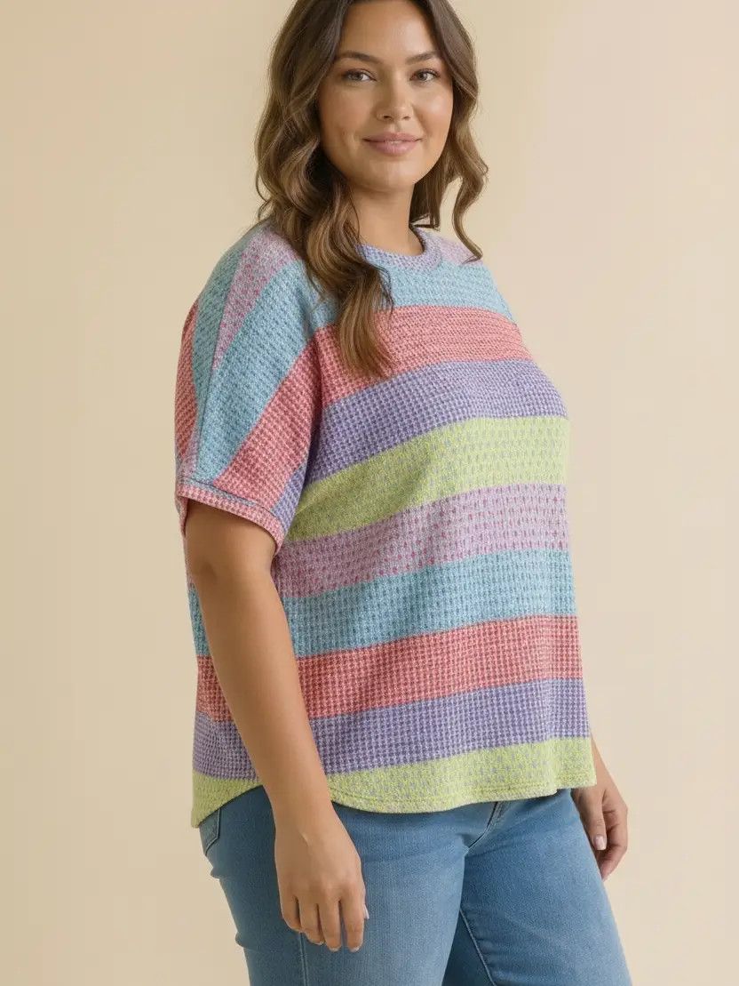 Plus Round Neck Multicolor Stripe Textured Top