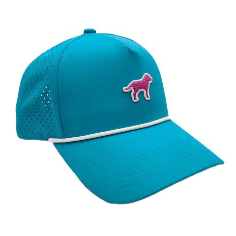 Pink Hound Hat - Aqua