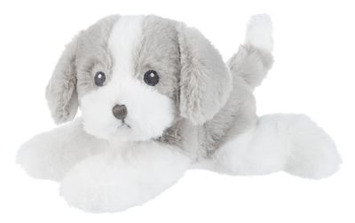 Grayson Puppy