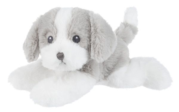 Grayson Puppy