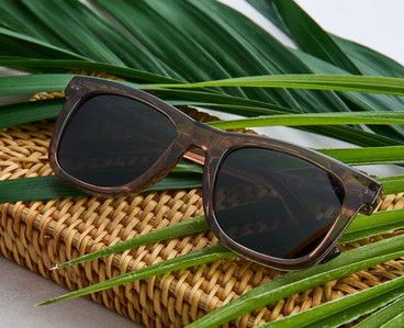 Harbor Polarized Sunglasses