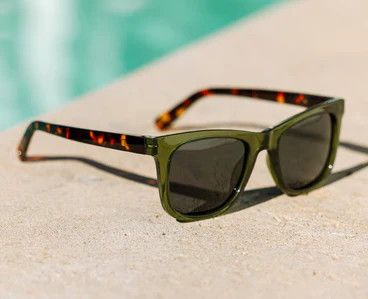 Harbor Reading Sunglasses