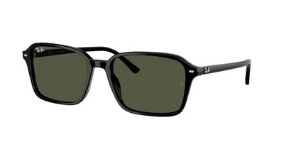 RAY-BAN RAIMOND 0RB2231 901/31 58 18
