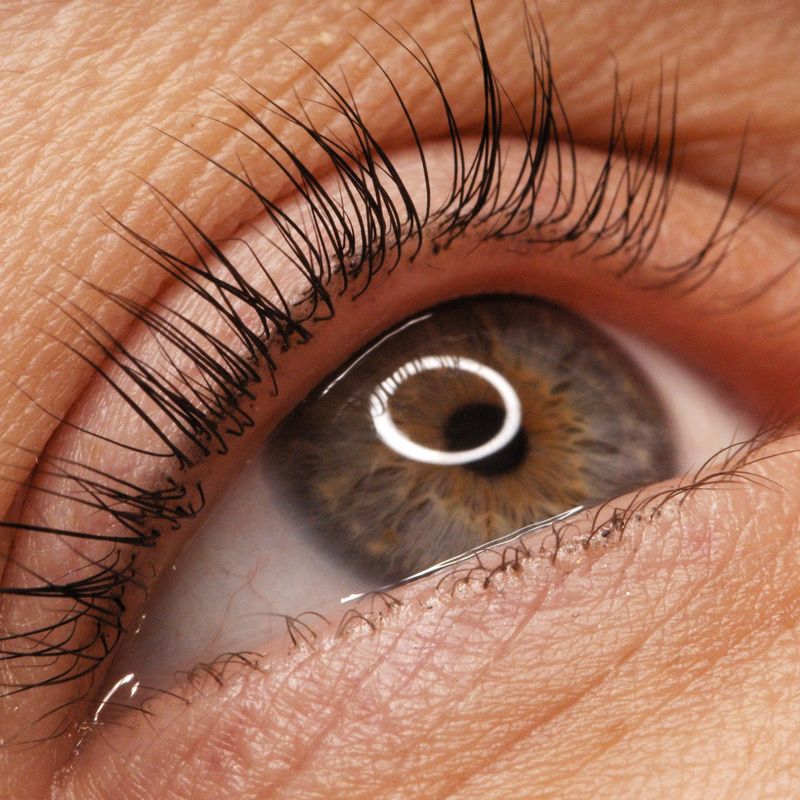 Lash &amp; Brow Lift
