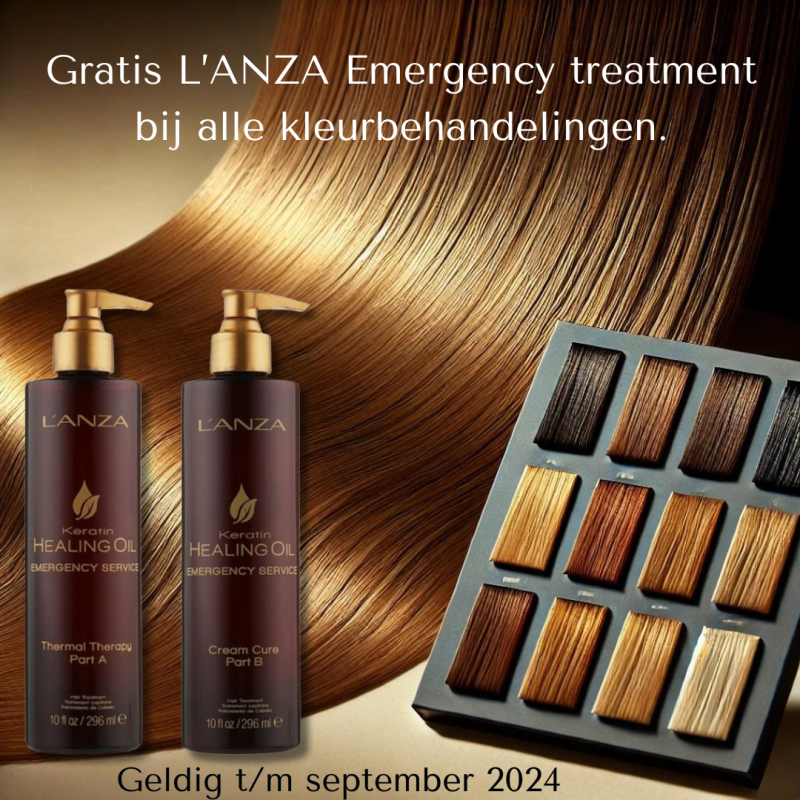 Kopzorgen? L&#39;ANZA Emergency Service voor onmiddellijk herstel