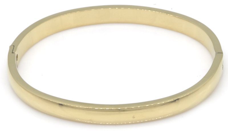 S. Steel Bangle