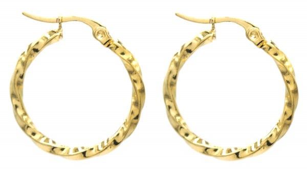 Steel Earring Twisted Hoop 2.5cm