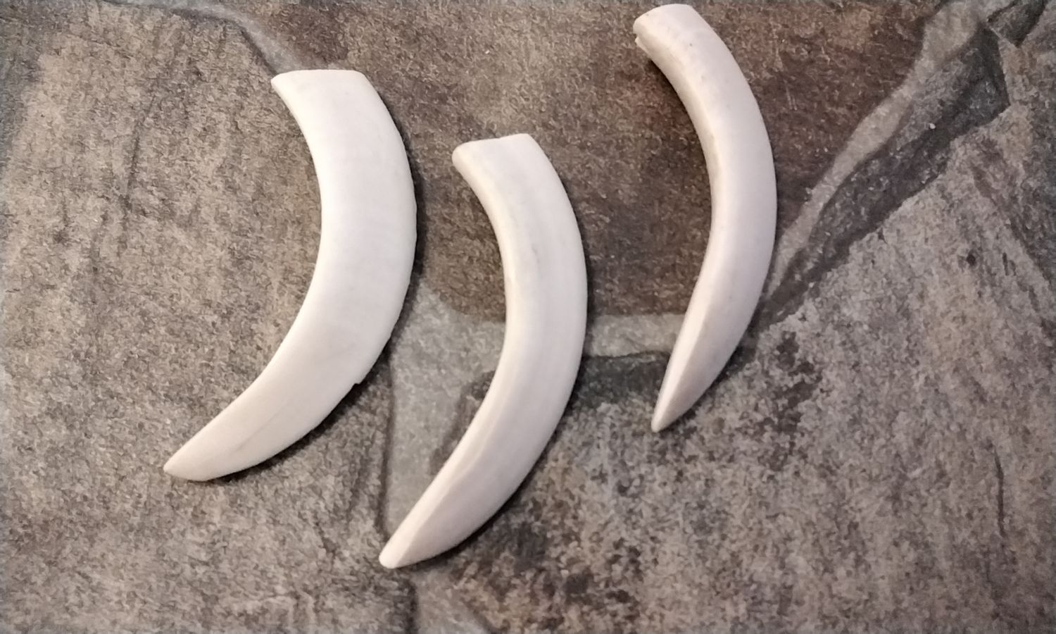 Wild Hog Tusk 4&quot; x 3/4&quot; For 1 XXLG