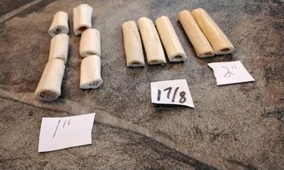 Coyote Flat Leg Bone Bead Hairpipe Beads For 6 - 1&quot; - 3&quot; - 1 7/8&quot;  2 - 2&quot; That  Are  About  Long From USA