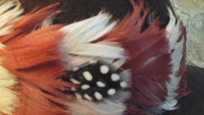 Hatband Feather Hatband Lot# Feather