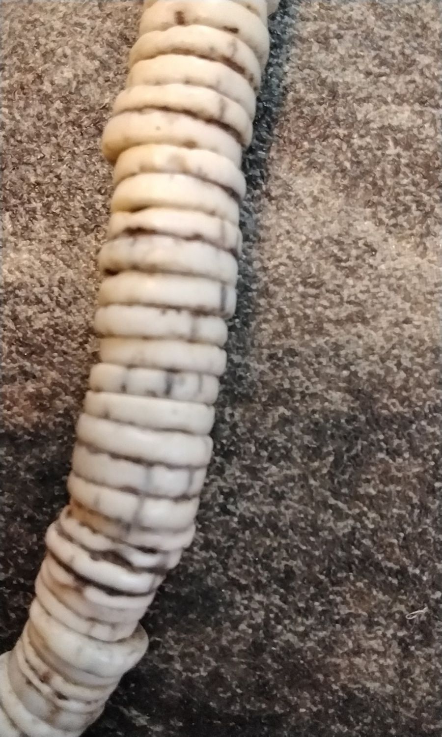 Ostrich Shell Bead Strand Heishi Trade Bead Strand From The 1900s