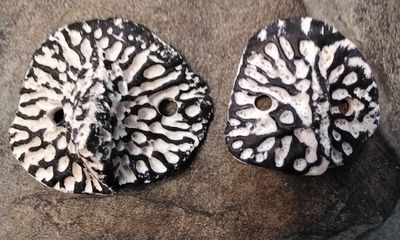 Alligator Back Hide Bone Scute Osteoderms For 1 Jumbo Drilled Lot#1 Jumbo  2&quot; - 2 3/4&quot; Size