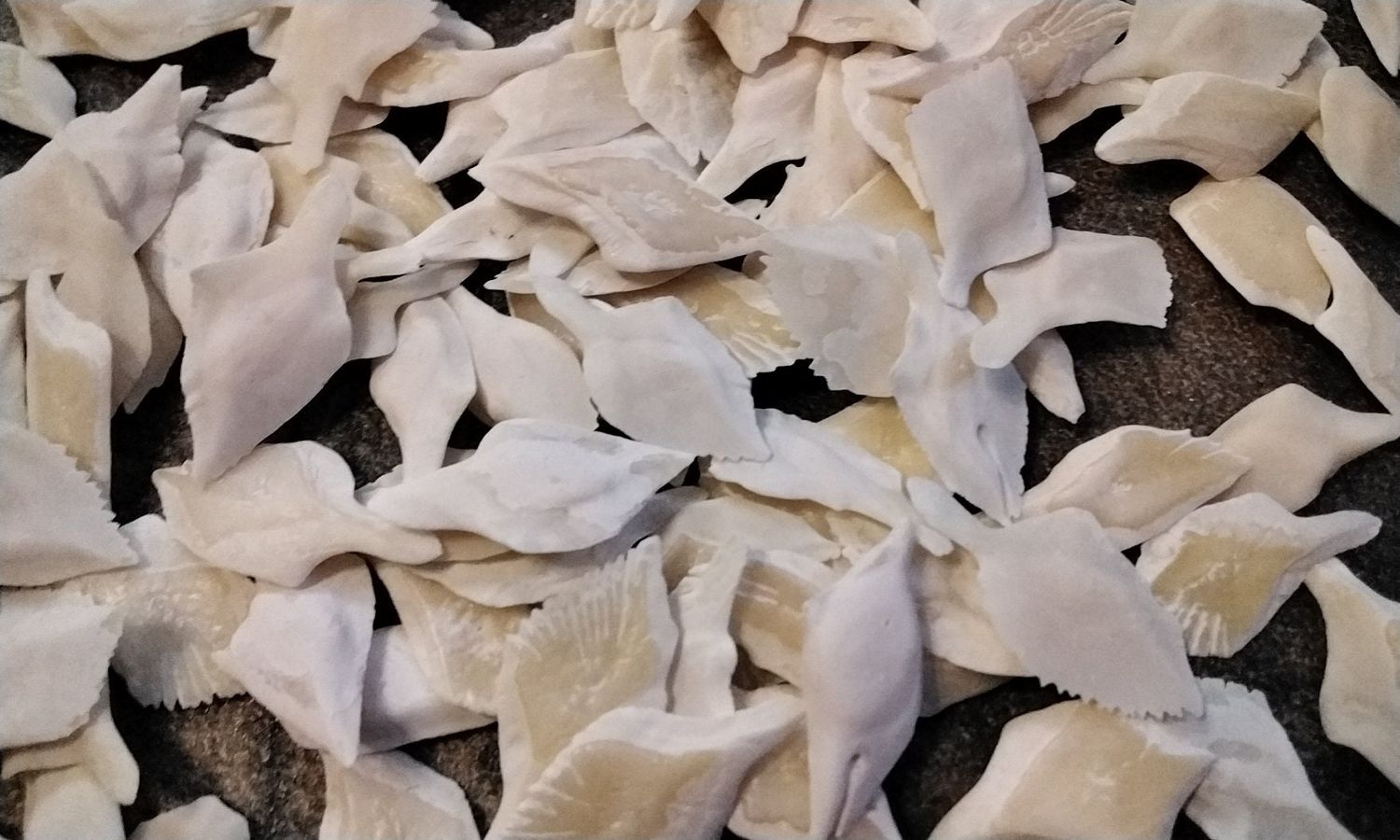 Alligator Gar Fish Scales For 24 Large Size From USA 7/8&quot; - 1 1/8&quot; Size