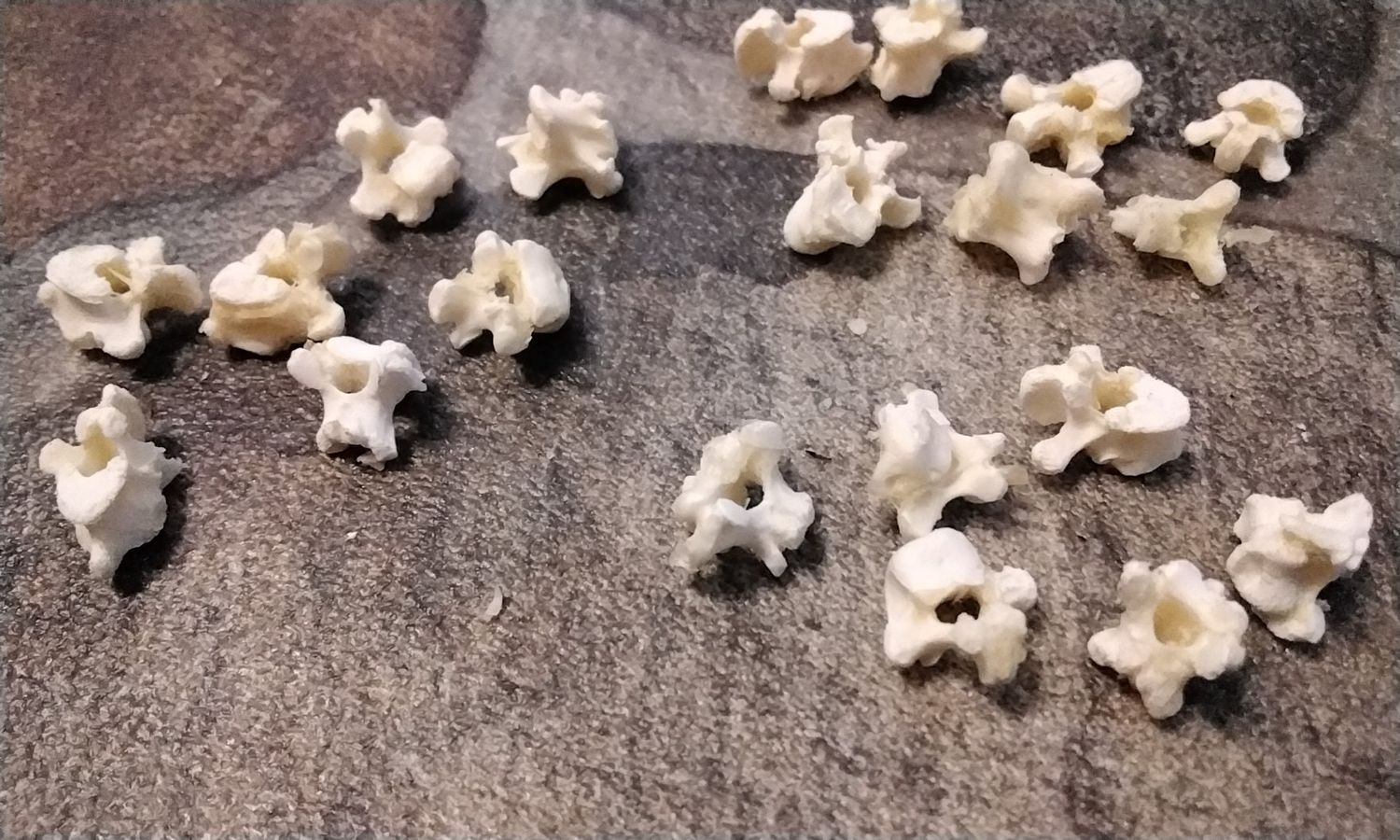 Game Hen Vertebrae Bones For 7 Cornish Hen Vertebrae Bones From USA