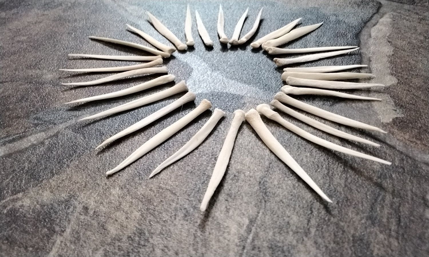Deer Leg Vibration Pick For 2 Natural From Mn. USA #Sm