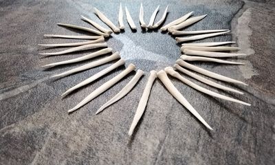 Deer Leg Vibration Pick For 2 Natural From Mn. USA #Sm