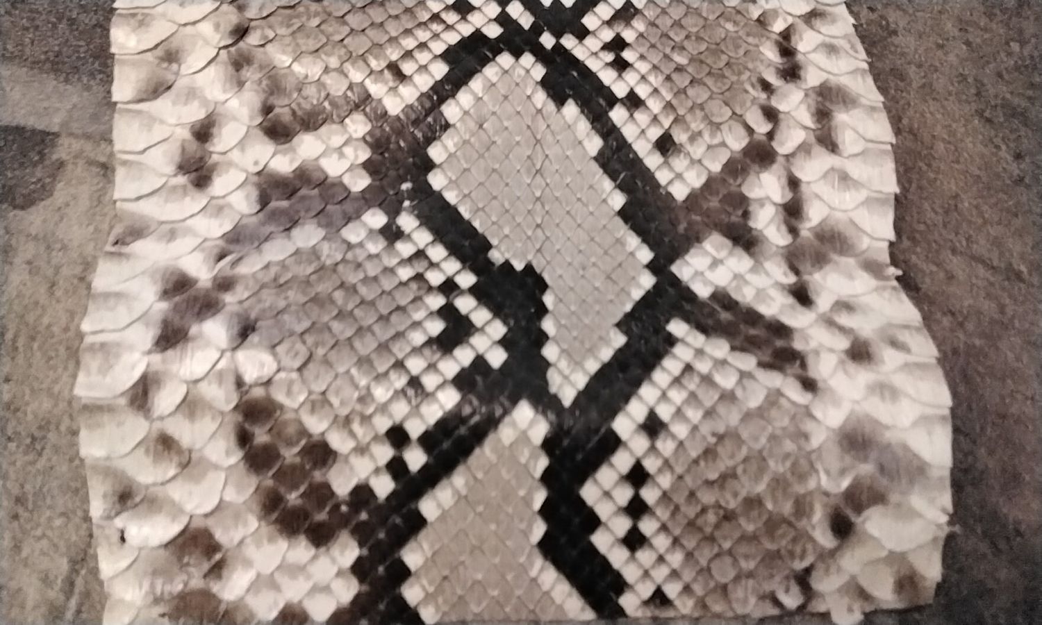 Python Snakeskin Piece Natural 11 3/4&quot; x 5 5/8&quot;