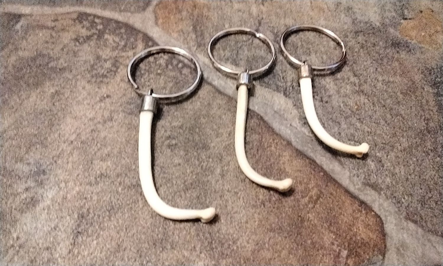COON DICK Keychain for 1 Med.Raccoon Baculum Made In USA