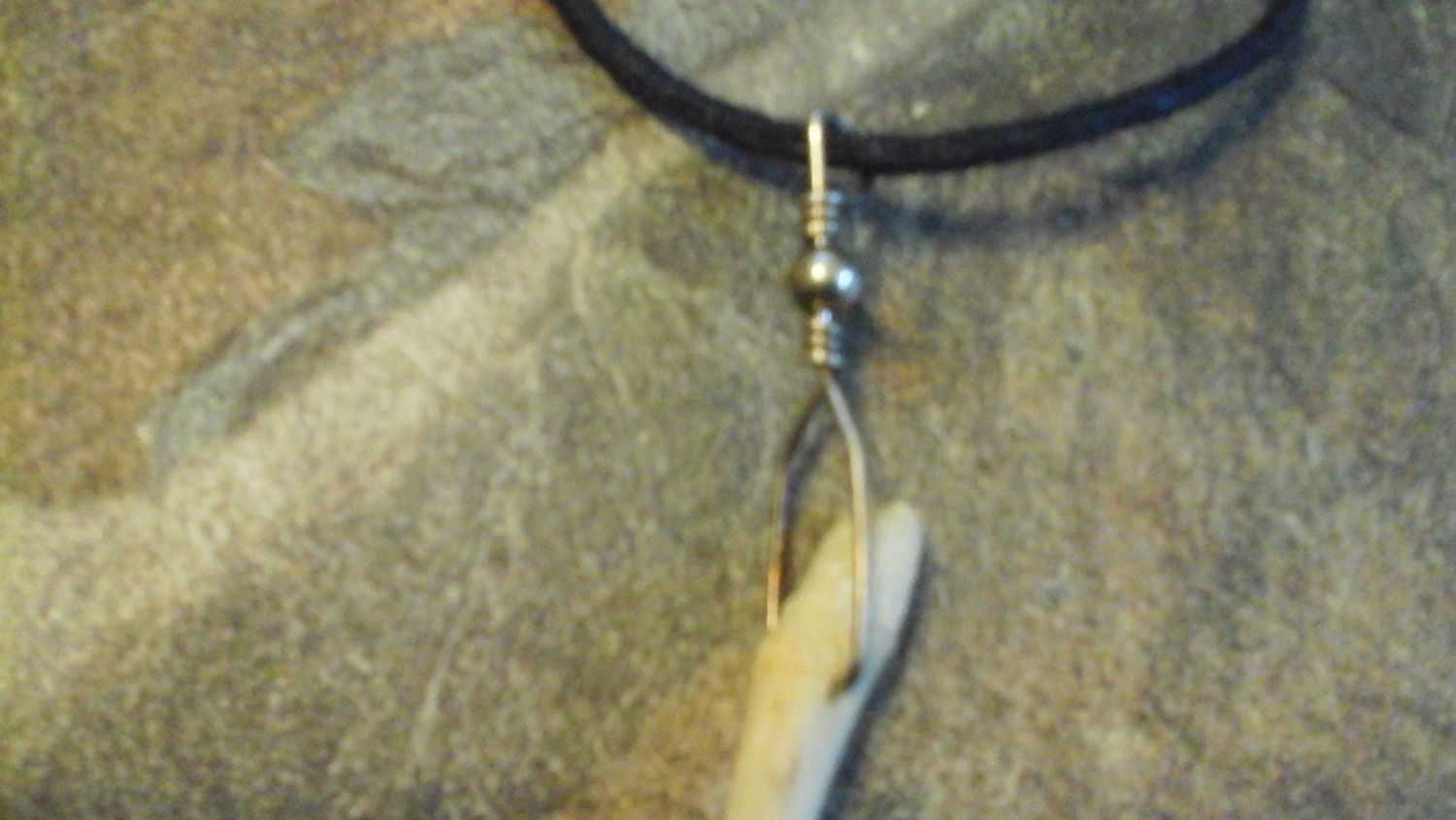 Coon Dick Necklace( Huge) Raccoon Baculum Broken And Healed Sterling Silver Wrapped Lot#1 Made In USA
