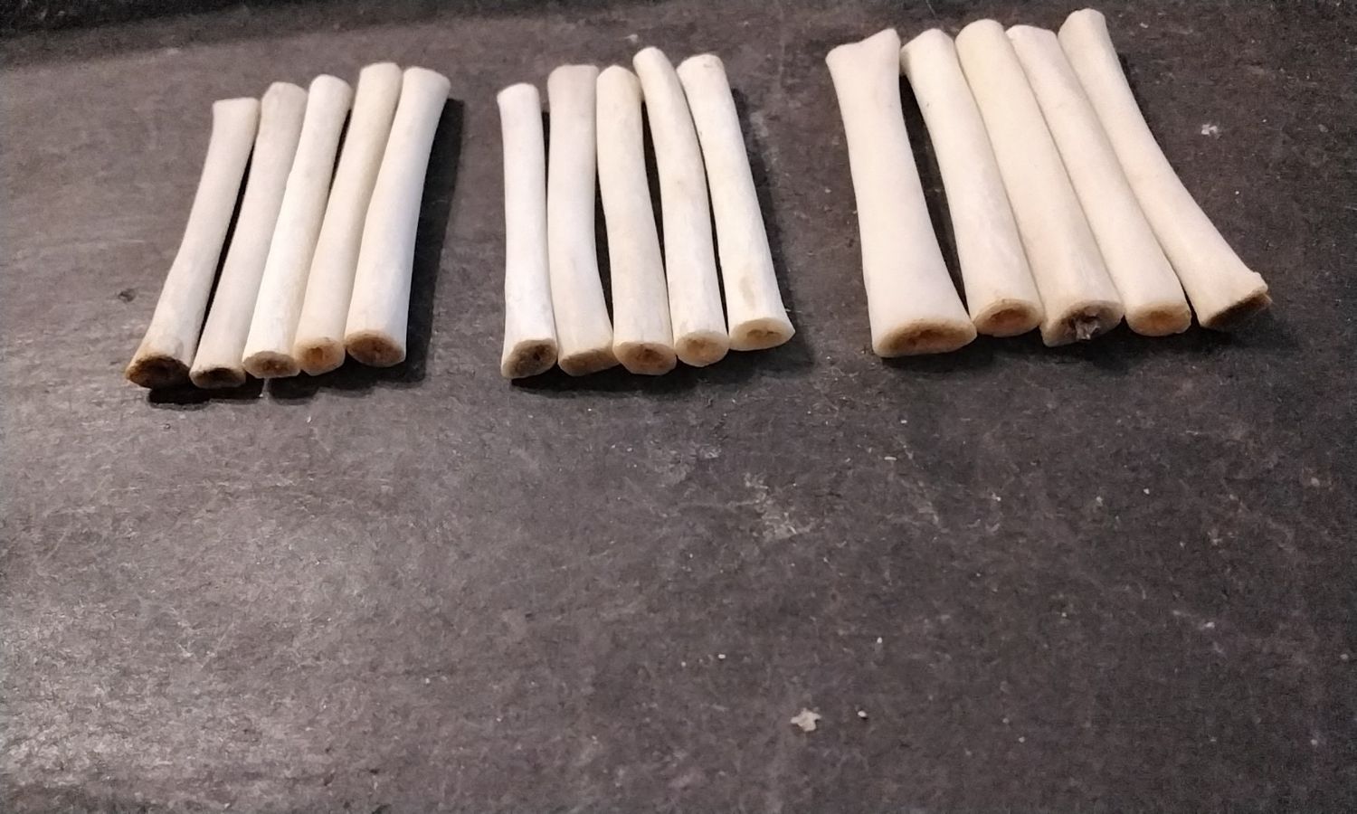 Alligator Foot Bone For 4 Hairpipe Beads Drilled That Are Cut To About 2&quot; Long From Fla. USA