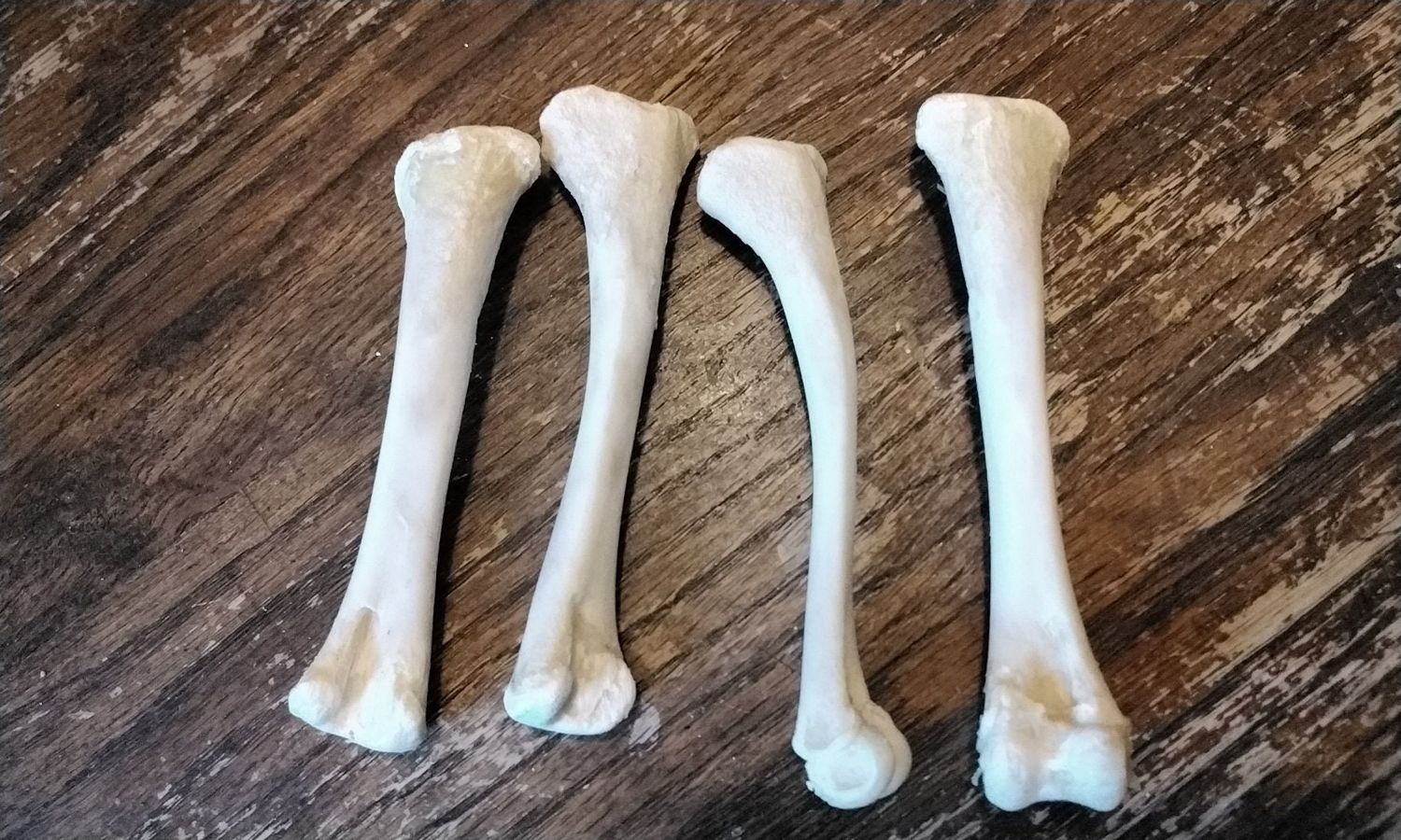 Chicken Thigh Bone For 1 From Mn. USA