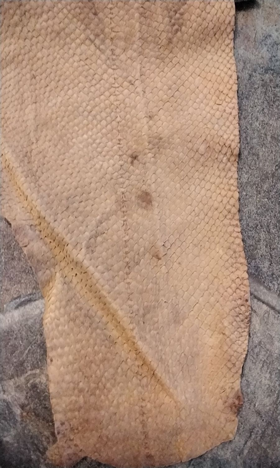 Jumbo Salmon Fish Skin Soft Tanned 25&quot; x 8&quot;