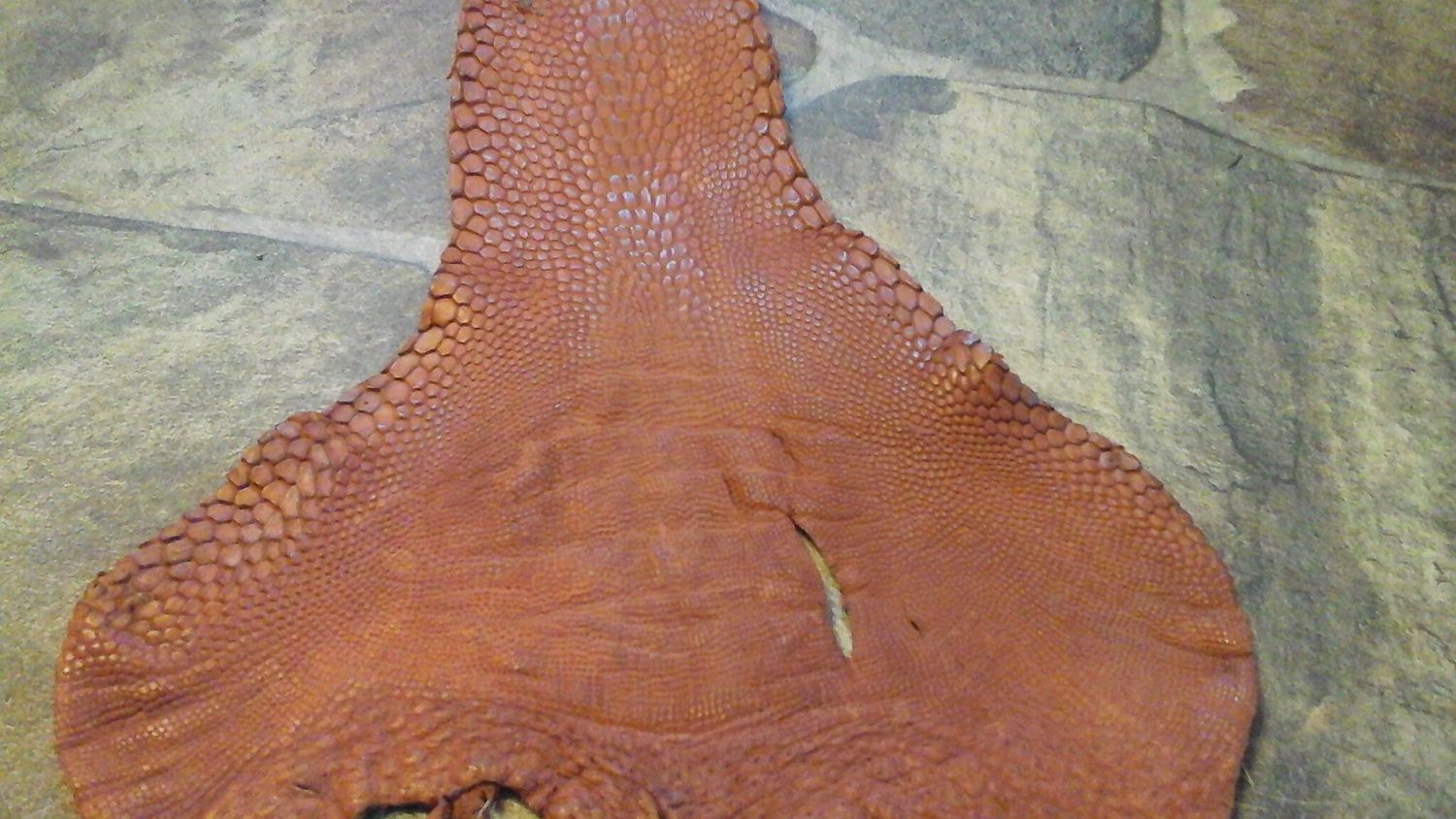 Emu Leg Skin Soft Tanned Lot #Jumbo Brown From USA