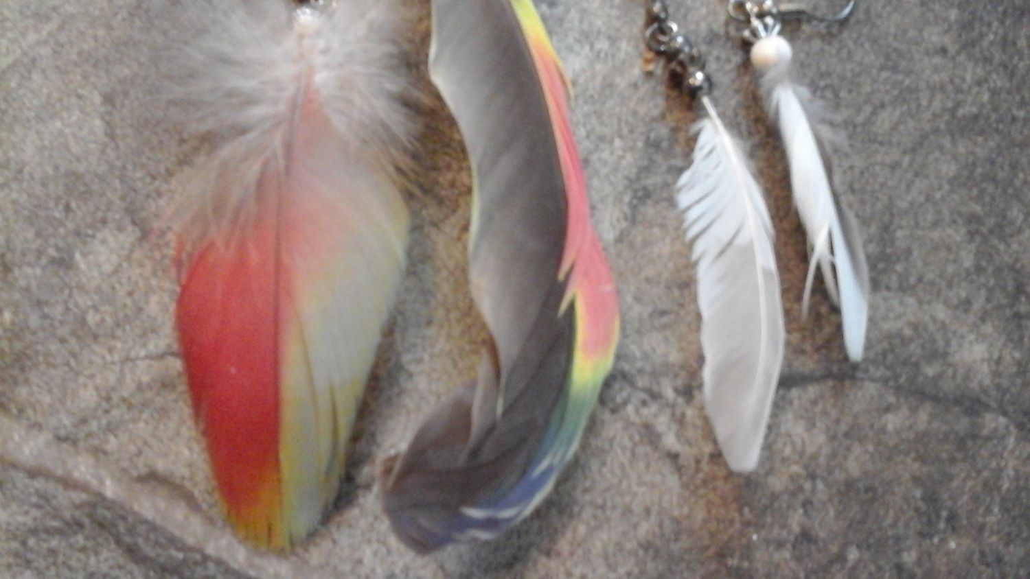 Parrot Feather Earrings for 2 Prs (Lot P1) Handmade in USA this is from a domesticated pet bird