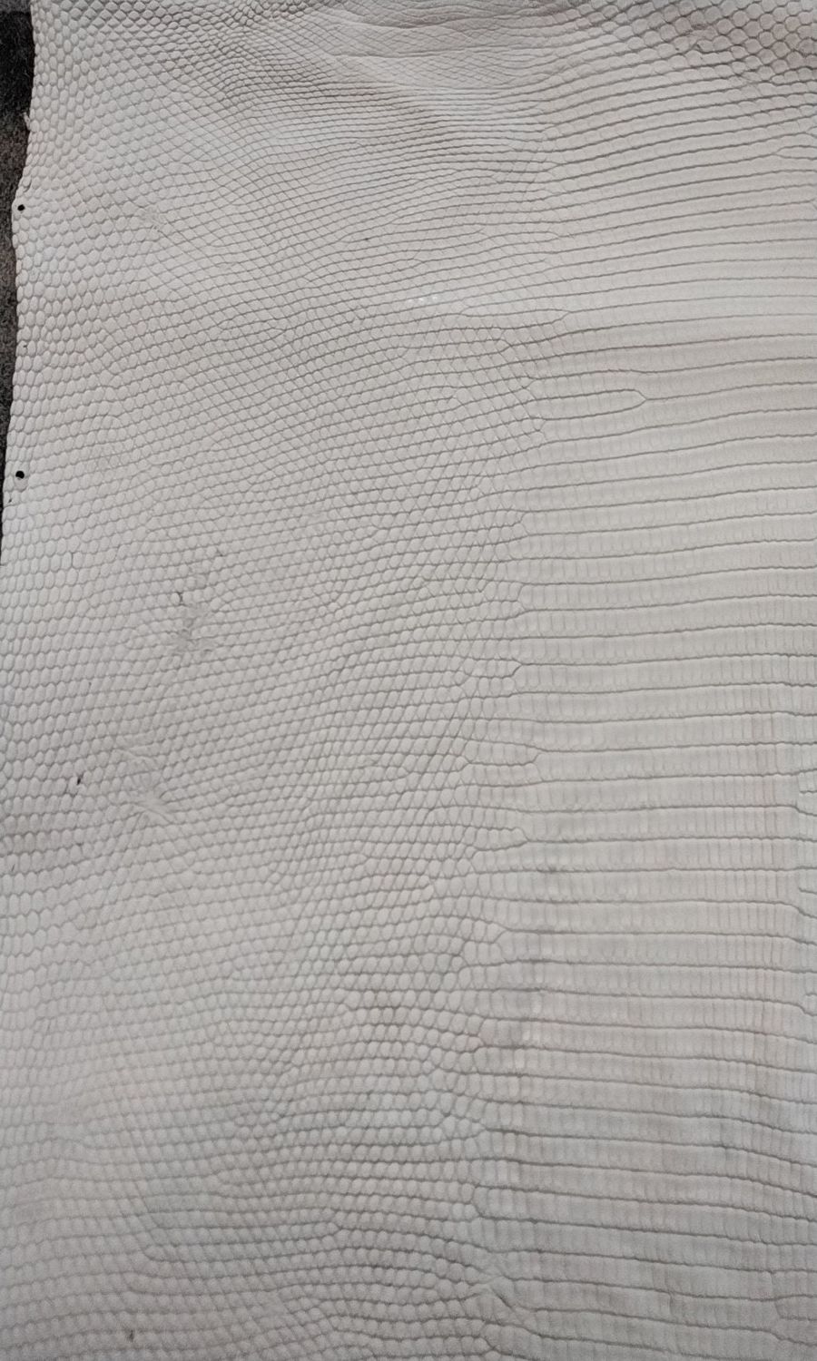 Lizard Skin Jumbo White Super Soft Tanned 20&quot; x 11&quot;