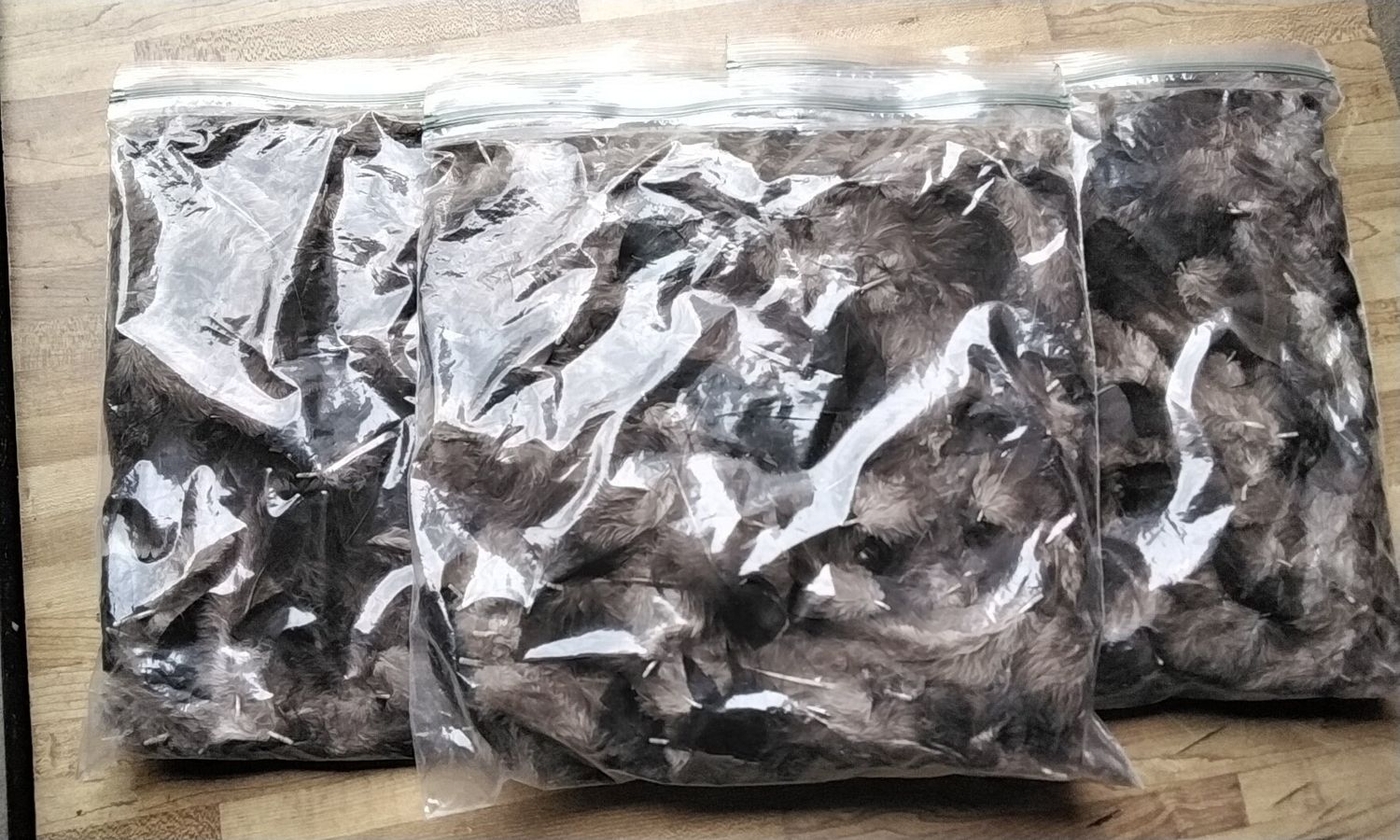 Wild Turkey Body Feather Fluffs For 1 Gallon Bag  From Mn. USA About 3/4&quot; - 4 1/2&quot; long