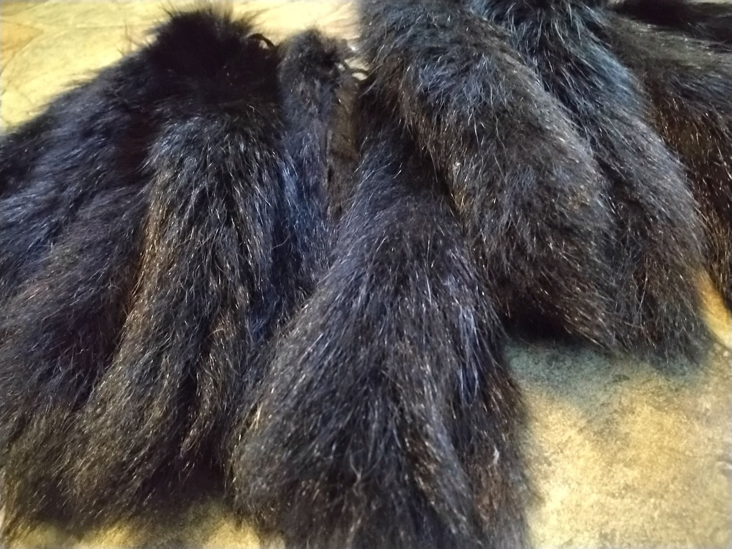 Raccoon Fur Tail Black Raccoon For 2 From USA
