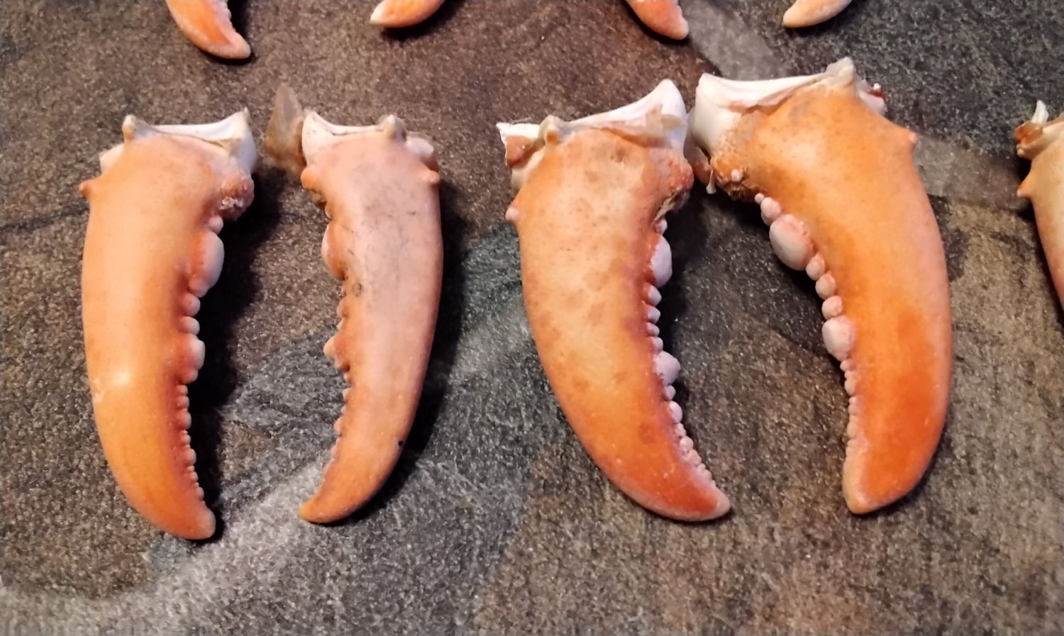 King Crab Claws For 2 Huge From USA (Lot# 2 Huge)