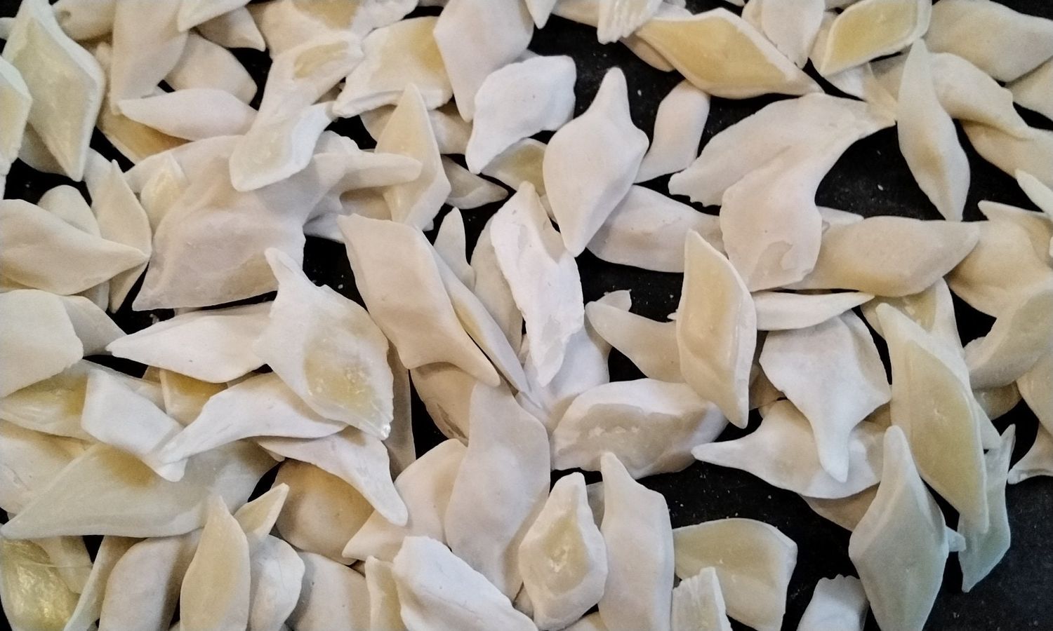 Alligator Gar Fish Scales For 50 Small From USA 3/8&quot; - 1/2&quot; Size