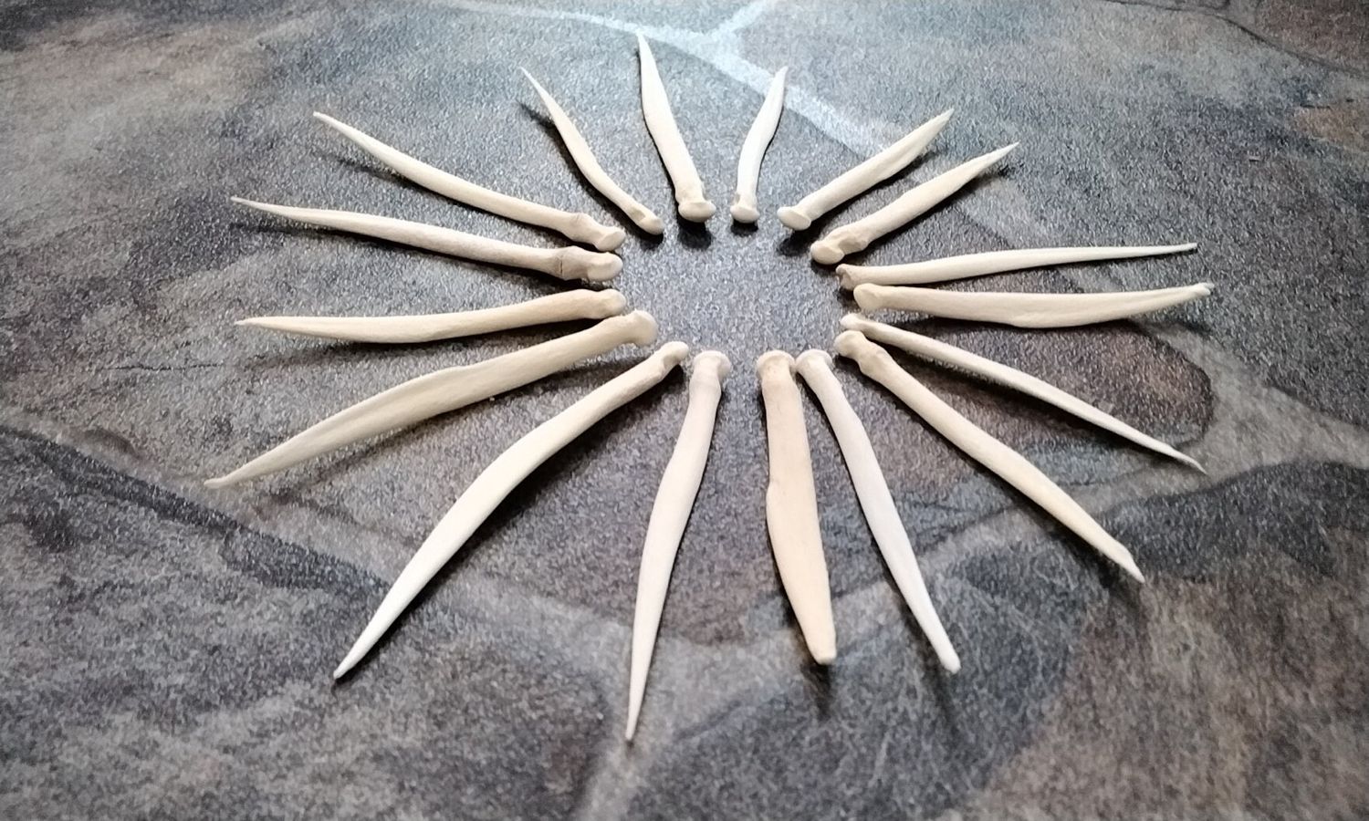 Deer Leg Vibration Pick For 2 From Mn. USA Lot# Lg