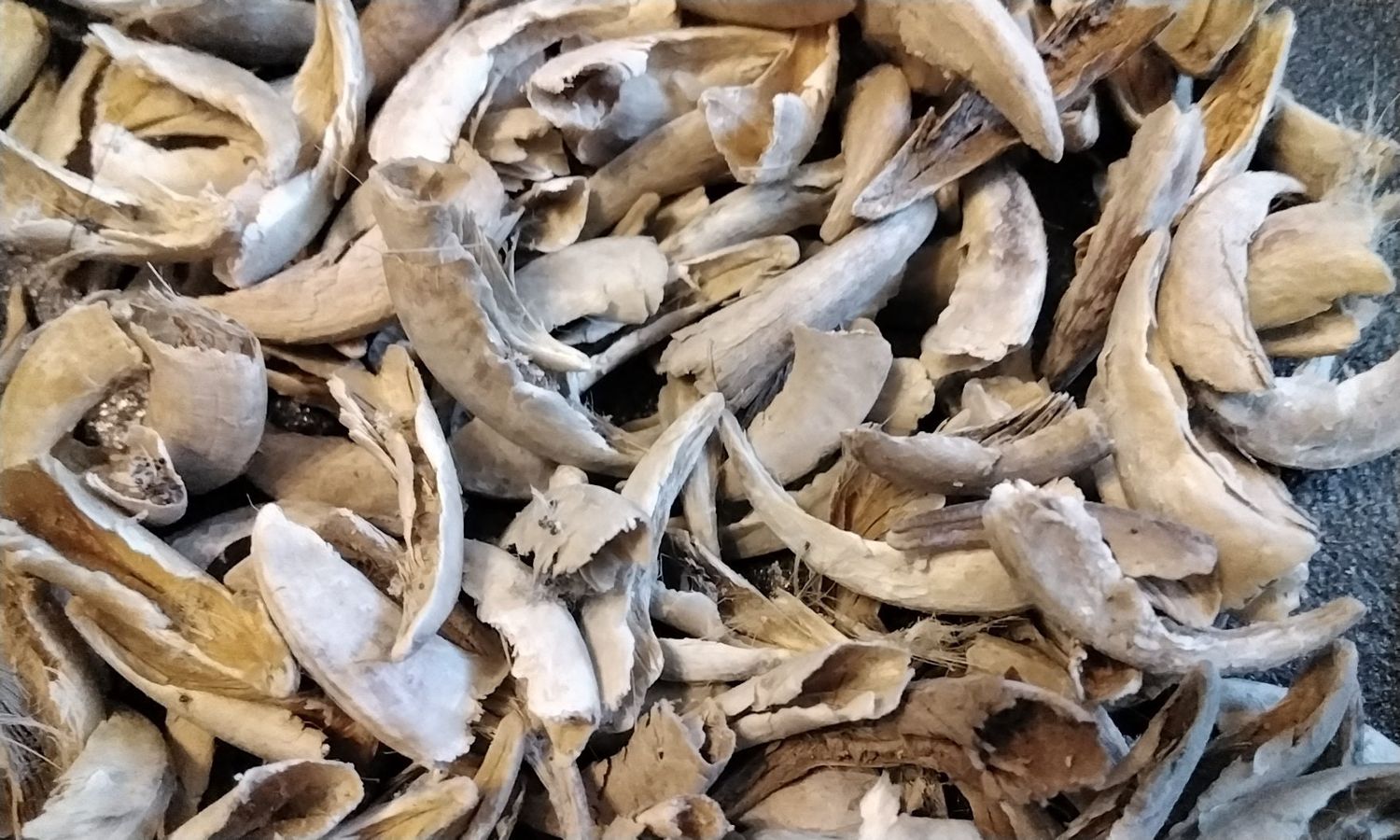 Coyote Claw Hulls For 60 Natural Organic Lot# 3