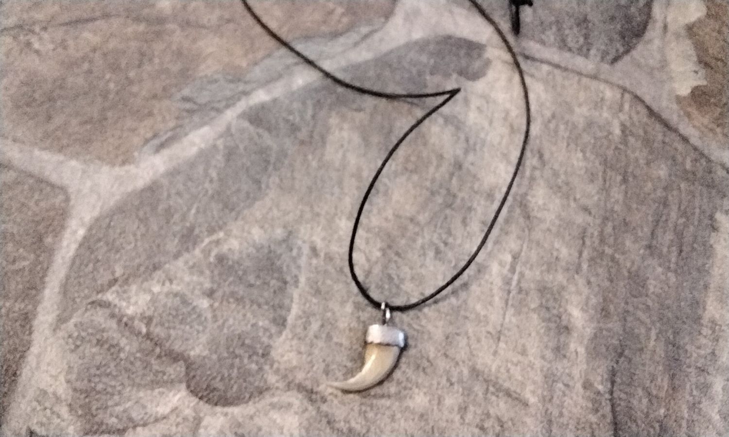 Bobcat Claw Necklace Sterling Silver Capped From Florida