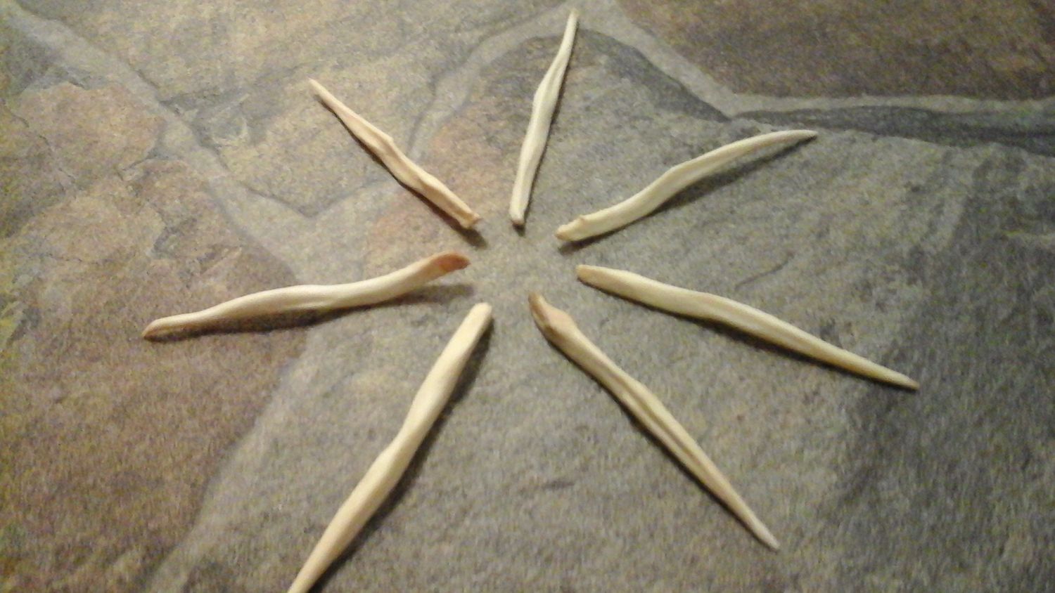 Coyote Dick Toothpick for 1