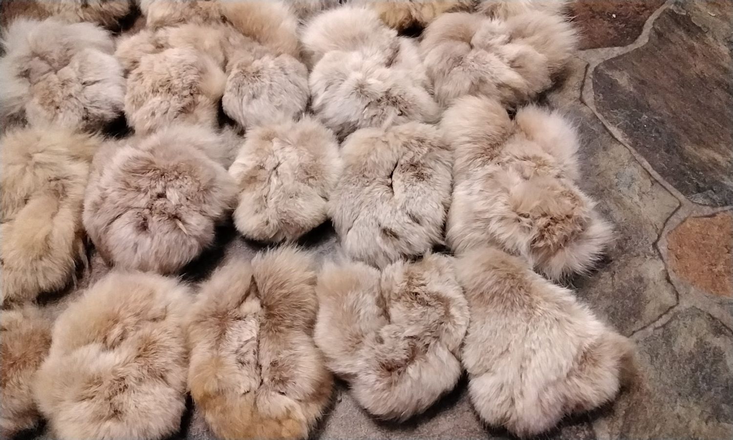 Lynx Fur Paw With Claws For 1 Lot#LCWC 3&#39; - 4&quot;